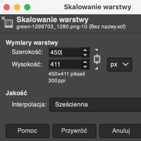 Zmień rozmiar obrazu referencyjnego.