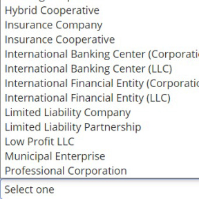 Review Puerto Rico formation options.