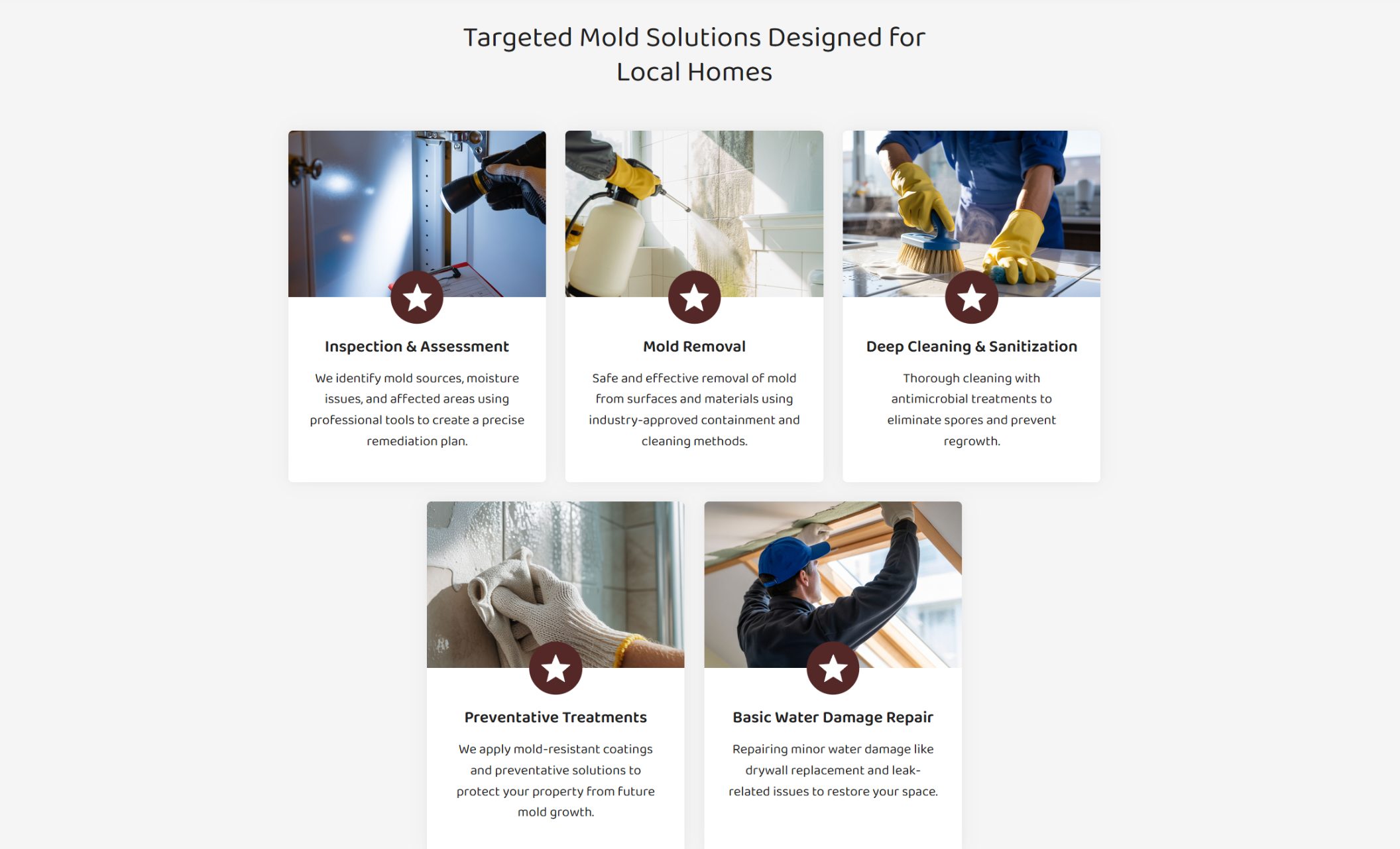 Mold remediation services section titled “Targeted Mold Solutions Designed for Local Homes” featuring five service cards including Inspection, Mold Removal, Deep Cleaning, Preventative Treatments, and Water Damage Repair