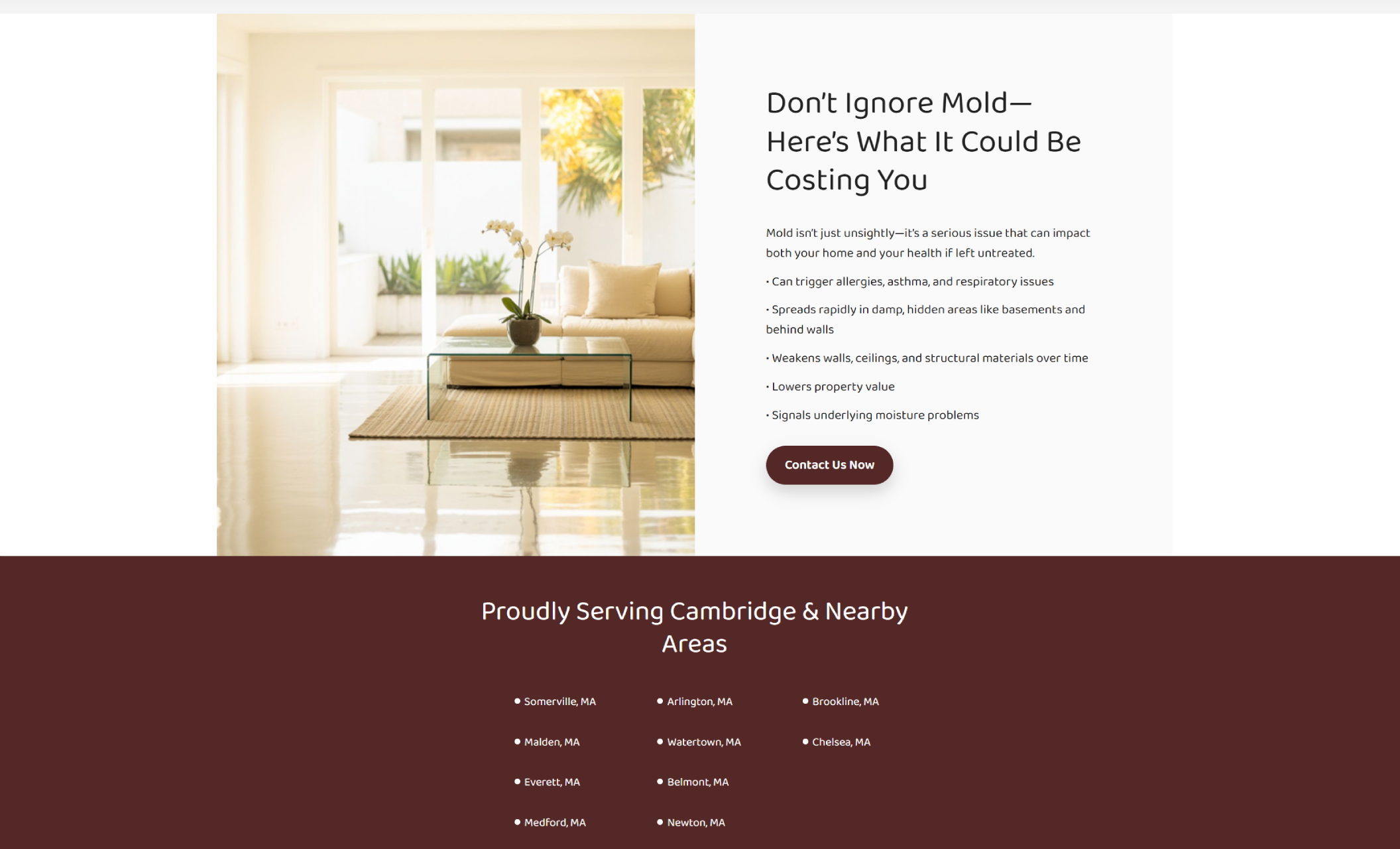 SafeAir Solutions service highlight section with a bright living room image next to the headline “Don’t Ignore Mold—Here’s What It Could Be Costing You” and a red “Contact Us Now” button