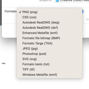 Scegli il formato del file.