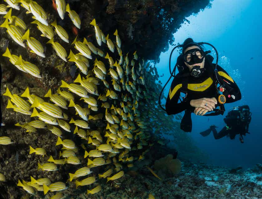 A scuba diver swimming past a school of fish.