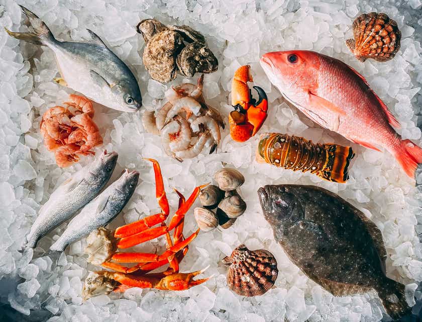 A variety of seafood, including fish, crabs, and shells, laid on a bed of ice.