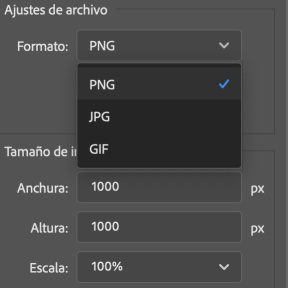 Selecciona un formato de archivo.