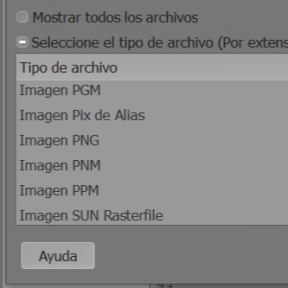 Selecciona un formato de archivo.