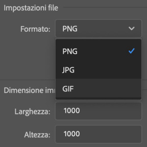 Seleziona il formato del file.