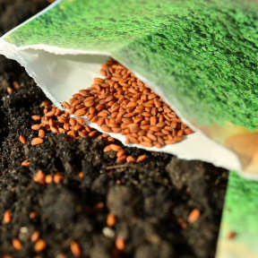 Source gardening supplies.