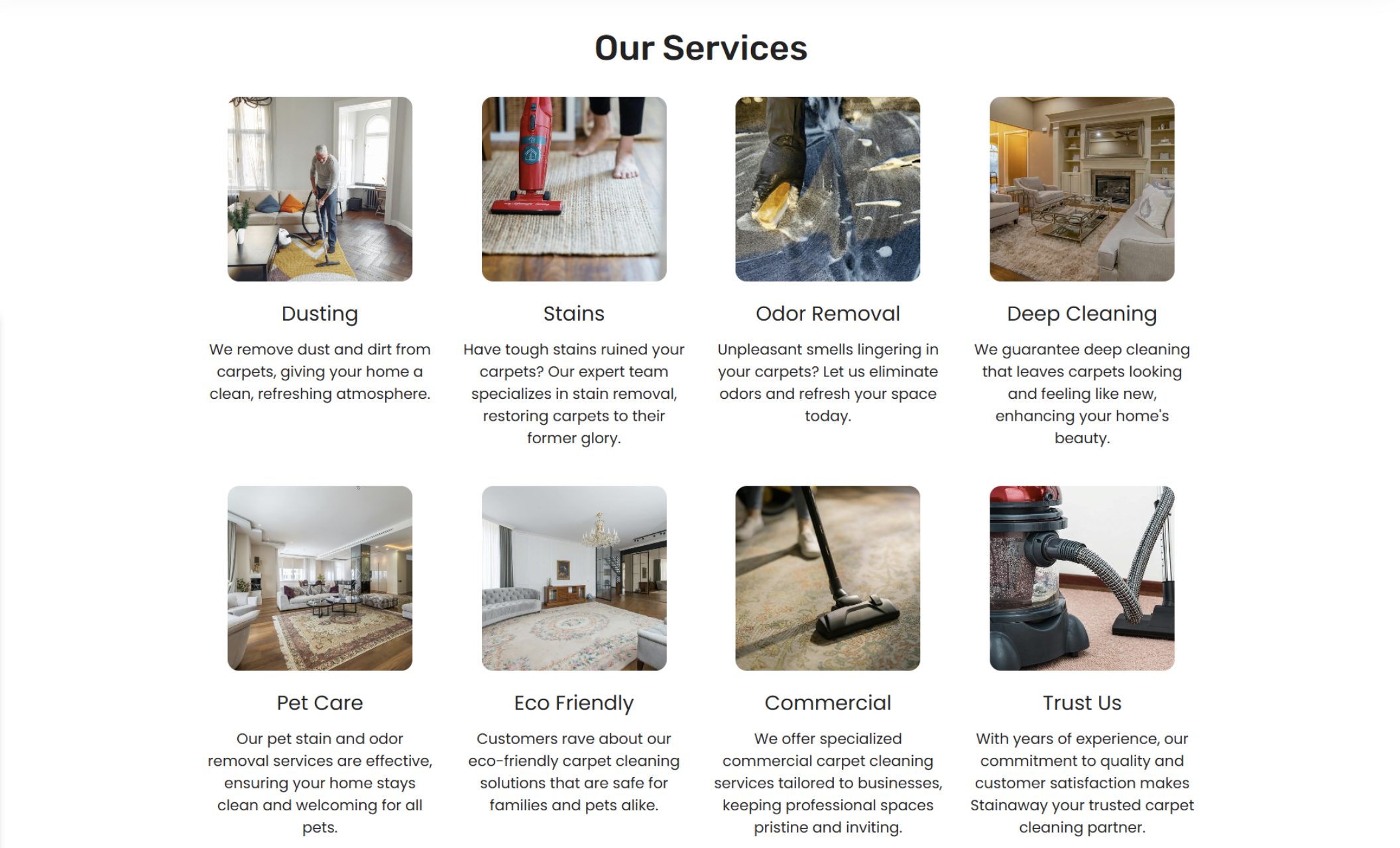 Services section showcasing eight different carpet cleaning offerings including dusting, stain and odor removal, and deep cleaning, each with an accompanying image and concise description