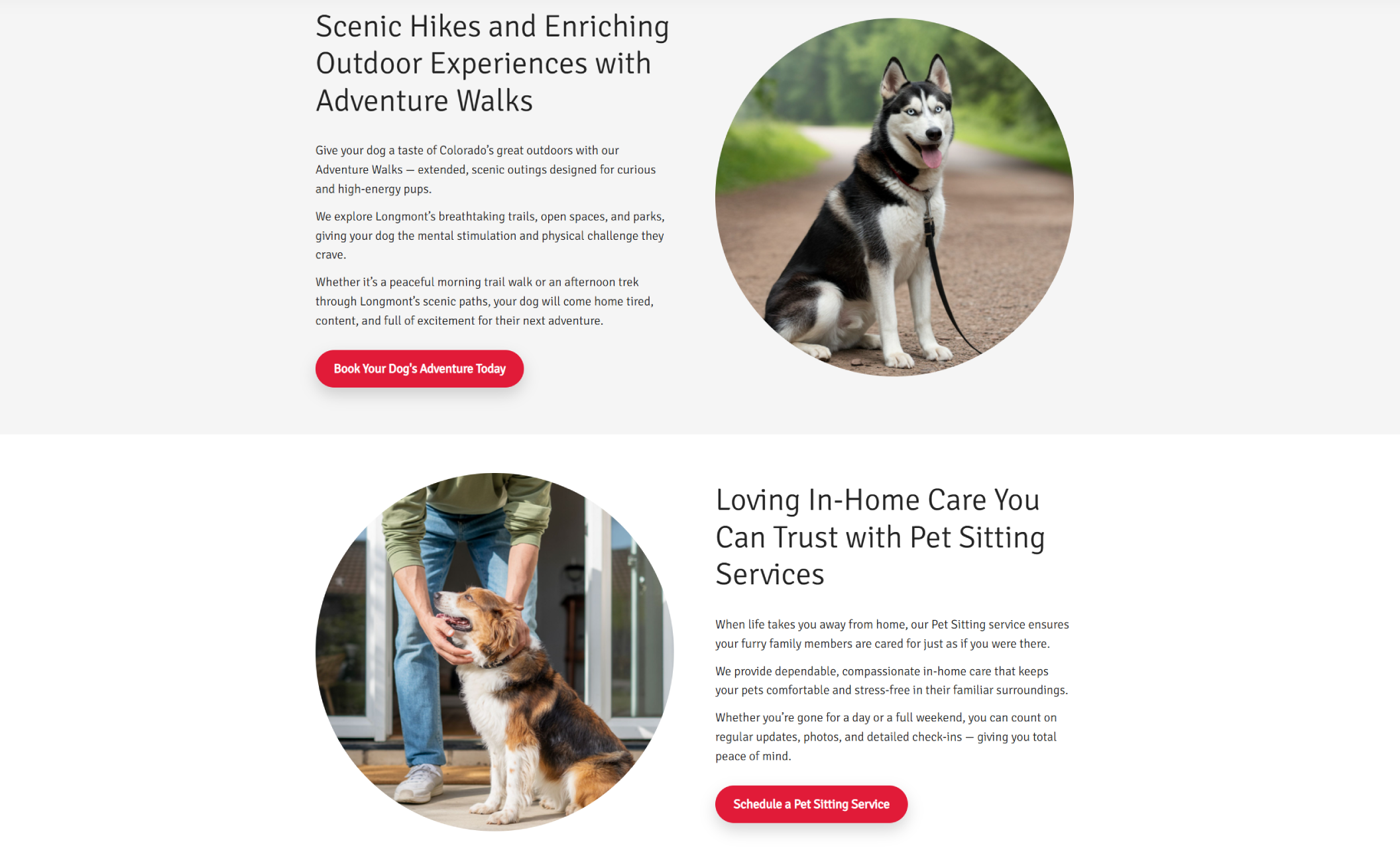 Detail screenshot of website template titled  