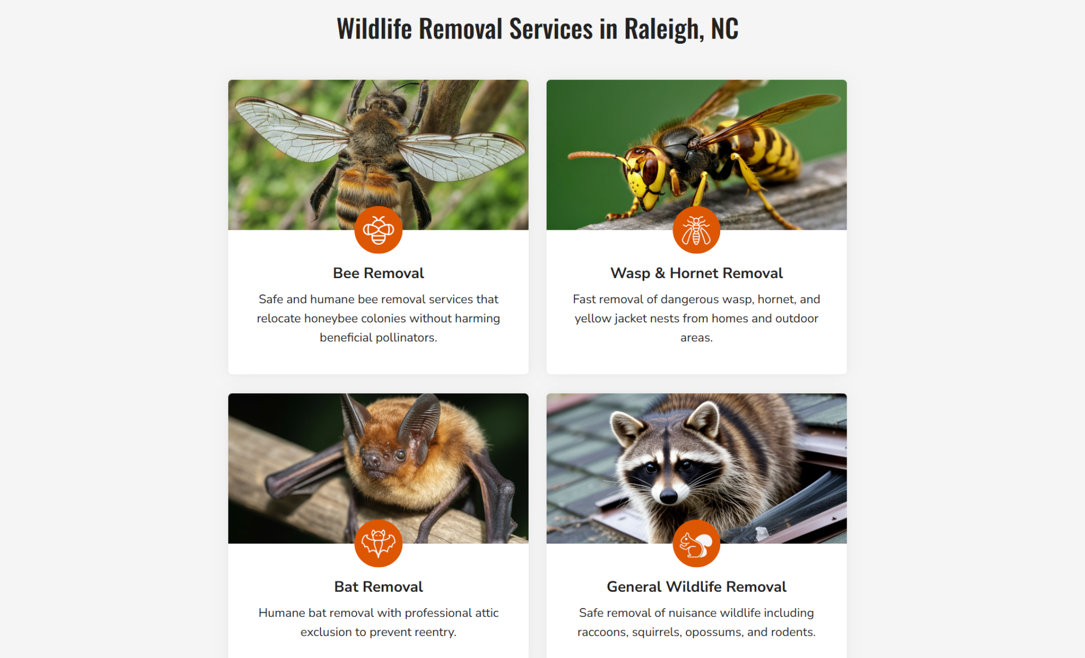 Wildlife removal services section titled “Wildlife Removal Services in Raleigh, NC” displaying service cards for bee removal, wasp and hornet removal, bat removal, and general wildlife removal