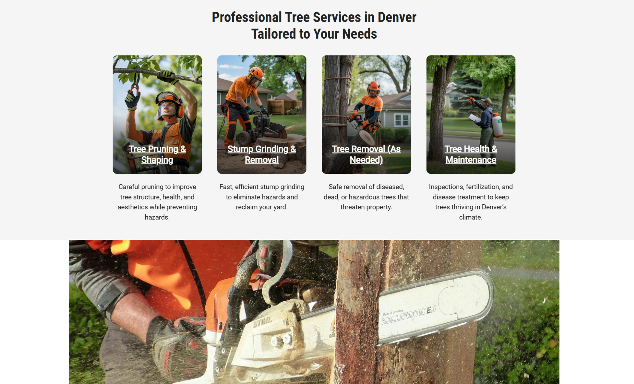Summit Arbor Services services section with four illustrated cards highlighting tree pruning, stump grinding, tree removal, and tree health, each with descriptions and photos of arborists at work
