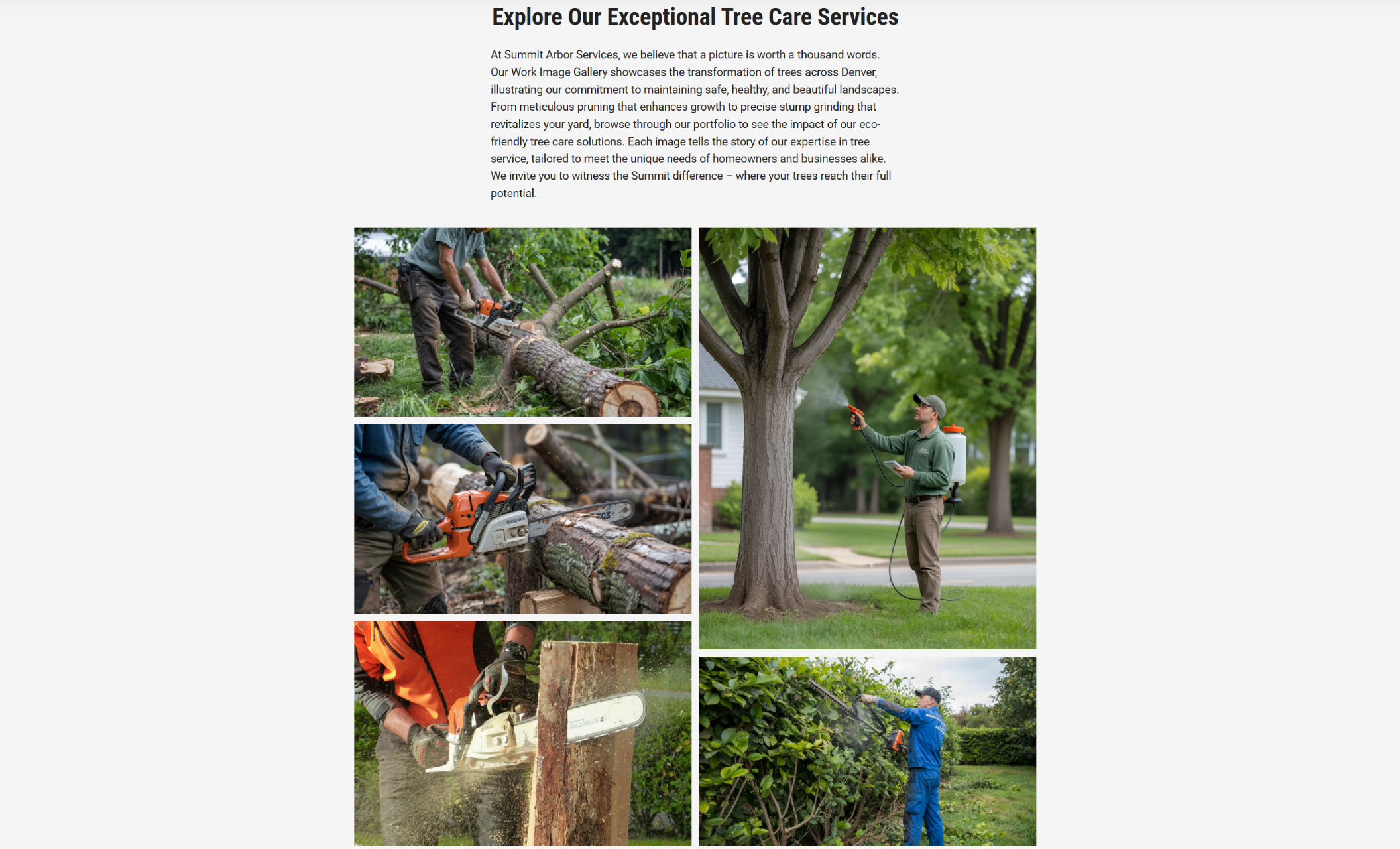 Summit Arbor Services gallery page displaying a grid of workers cutting, spraying, and maintaining trees, under the headline “Explore Our Exceptional Tree Care Services.”