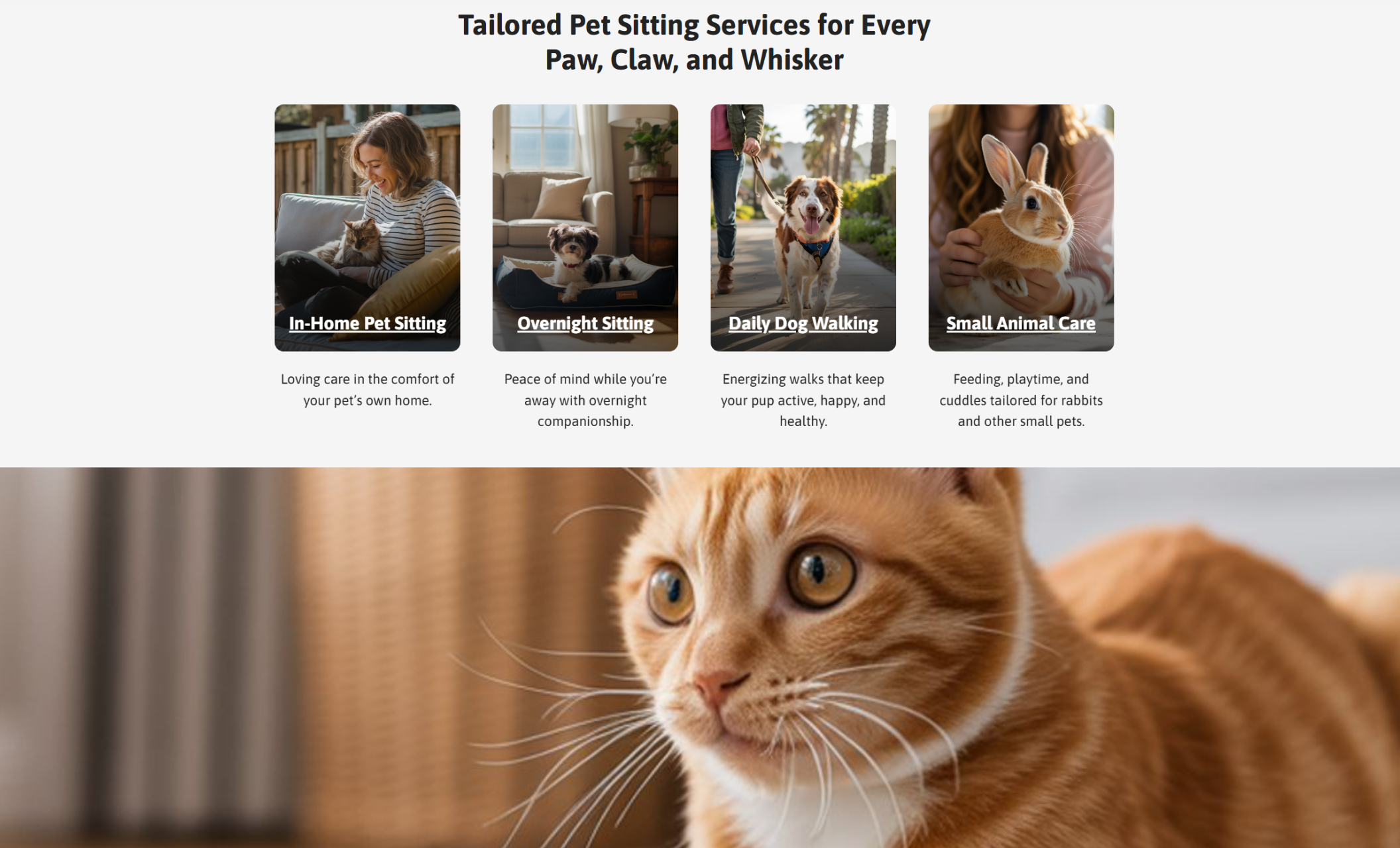 Sunny Tails Pet Sitting services gallery featuring four service cards — In-Home Pet Sitting, Overnight Sitting, Daily Dog Walking, and Small Animal Care — with images of pets and sitters