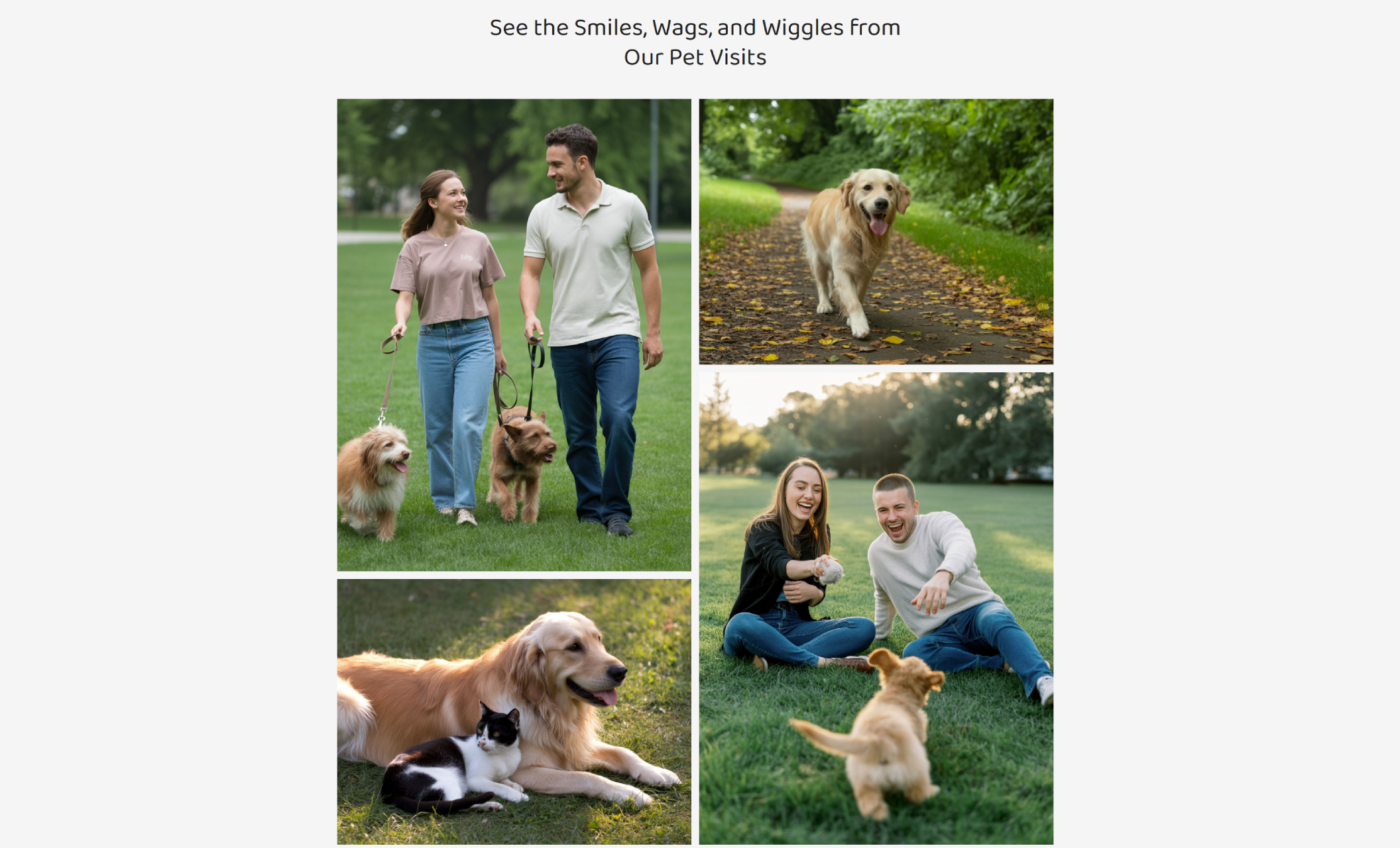 Photo collage titled “See the Smiles, Wags, and Wiggles from Our Pet Visits,” showing various joyful scenes including people walking dogs, playing with puppies in the park, and a golden retriever lounging with a cat