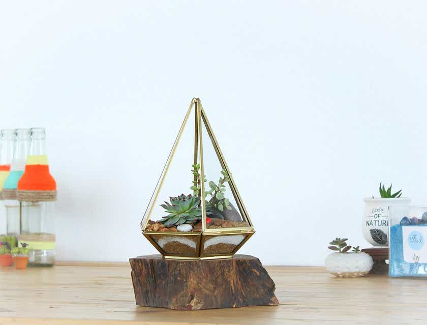 Un terrarium de plantas en un pedazo de tronco sobre la mesa.