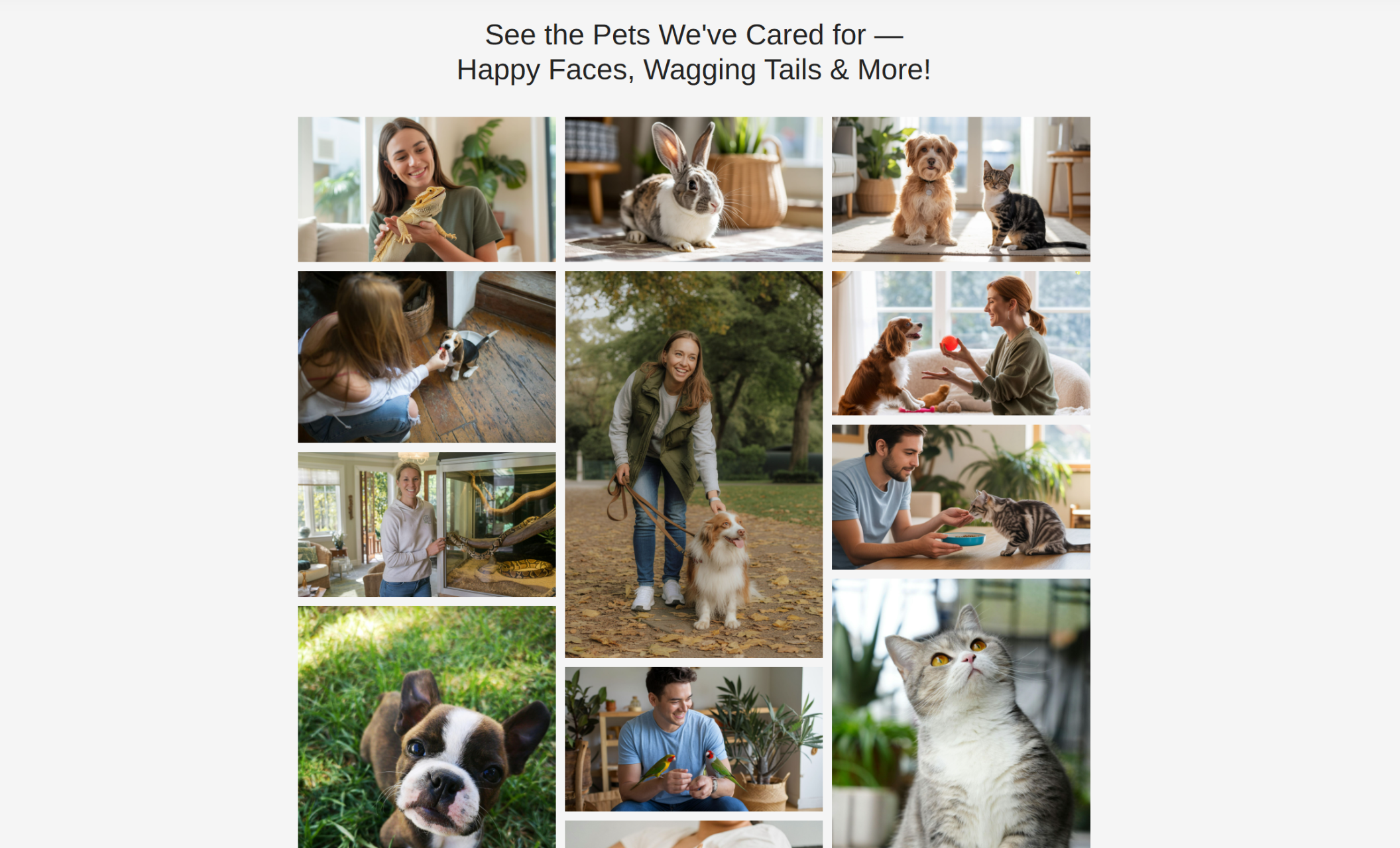 The Pet Nannies' gallery section with a white background, black headline, and a photo collage of happy sitters engaging with a variety of pets including cats, dogs, rabbits, reptiles, and birds in indoor and outdoor settings