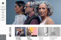 An example of a theater website.