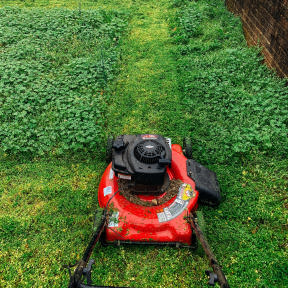 Think about the type of gardening services you want to offer.