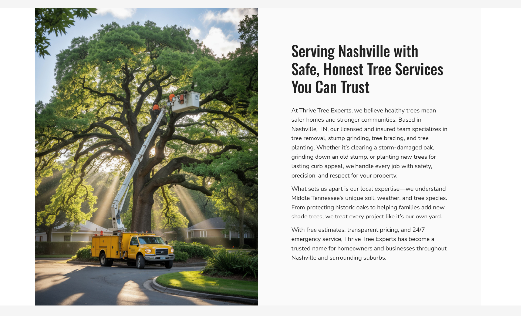 Thrive Tree Experts about section showing a yellow tree service truck and workers trimming a massive oak tree, beside text highlighting safe, honest tree care and local expertise in Nashville