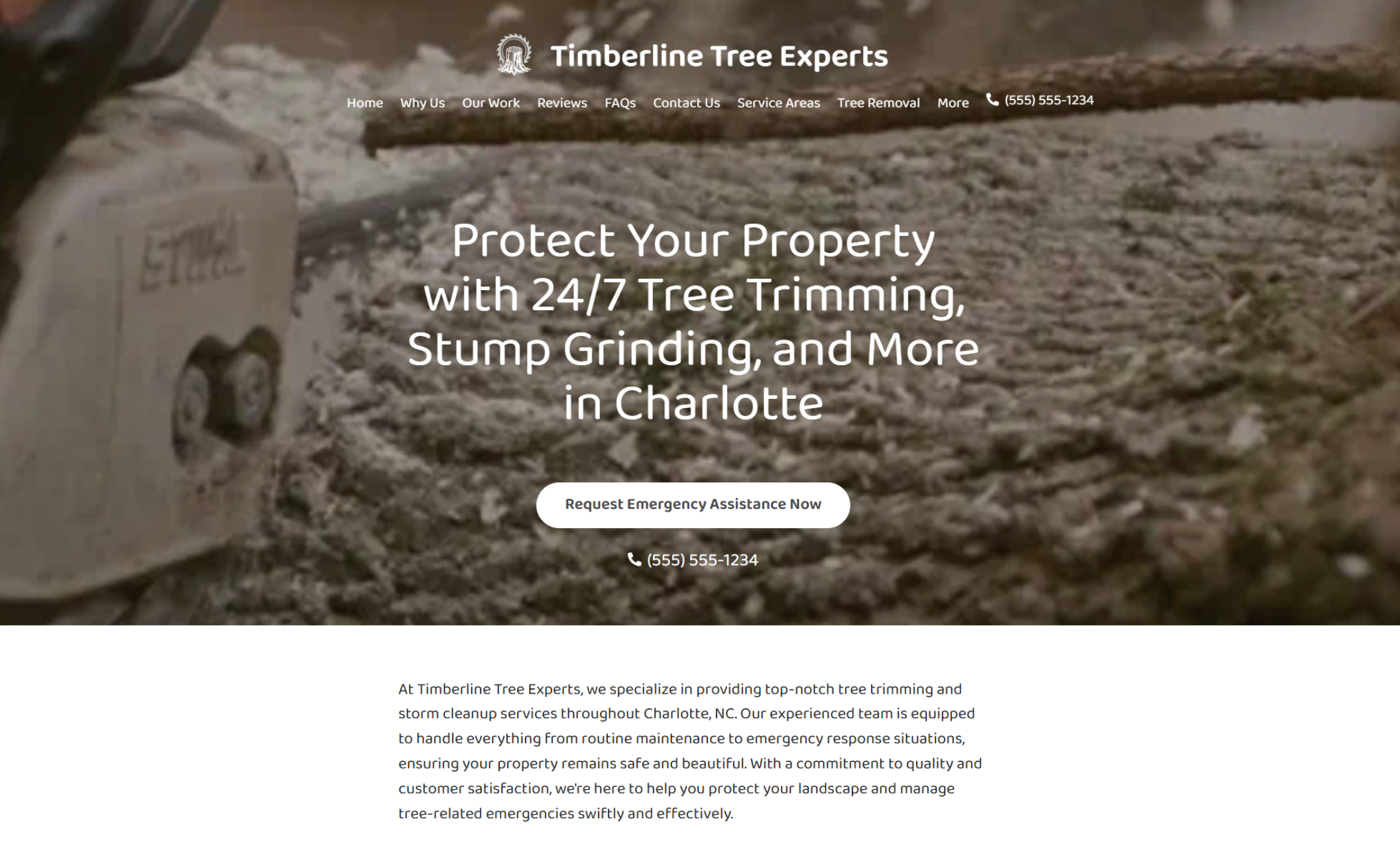 Timberline Tree Experts homepage featuring a close-up of a chainsaw cutting through a log with sawdust flying, next to the headline “Protect Your Property with 24/7 Tree Trimming, Stump Grinding, and More in Charlotte.”