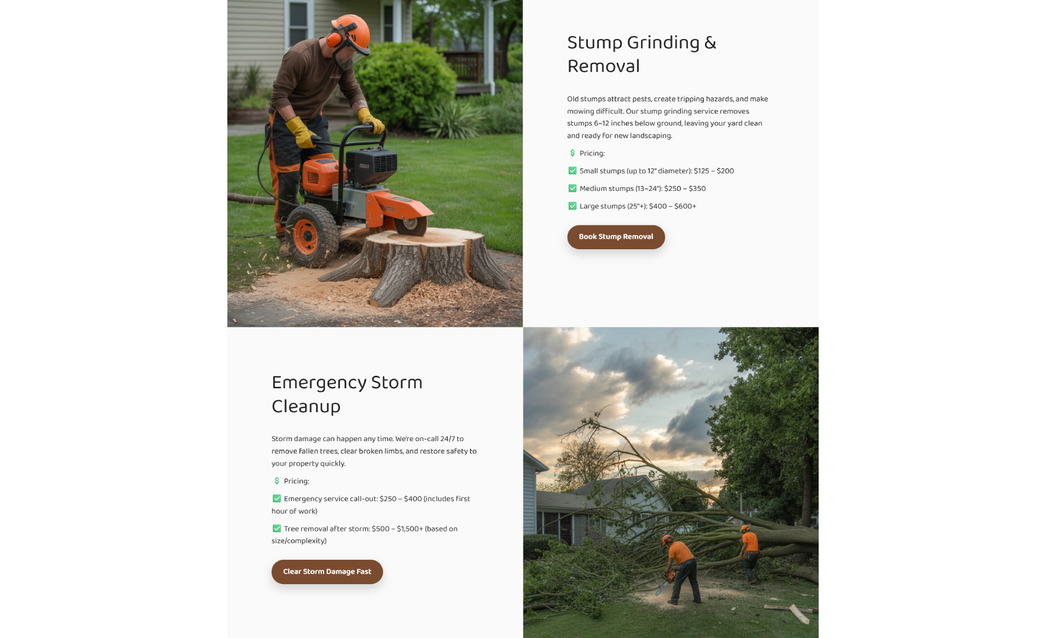 Timberline Tree Experts services section highlighting “Stump Grinding & Removal” with a worker using grinding equipment on a large stump, alongside pricing details and a brown booking button