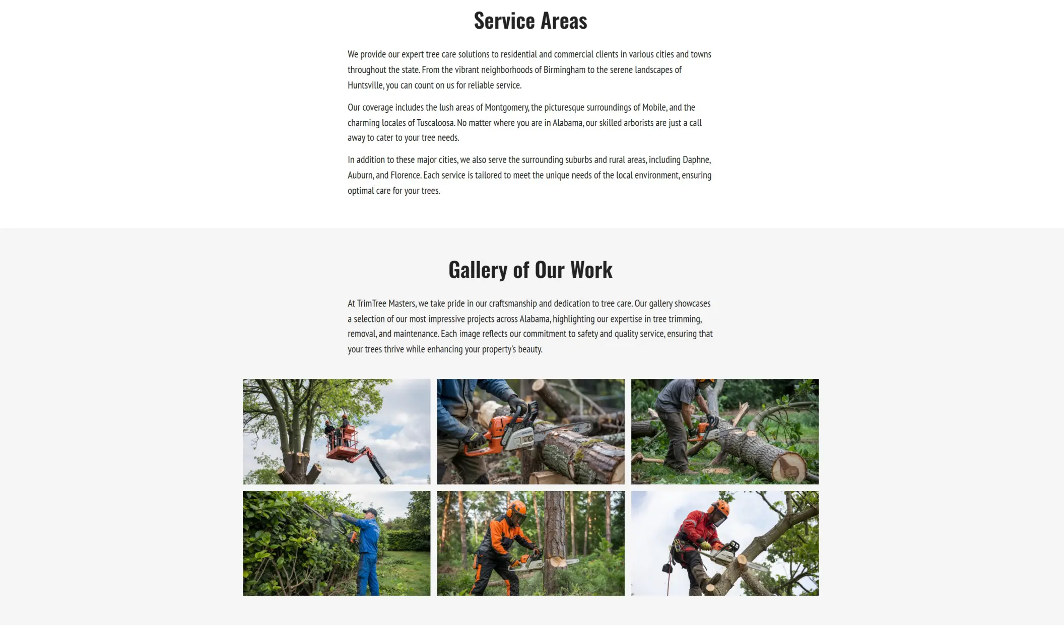 TrimTree Masters' website displaying their services areas, and an image gallery of their work