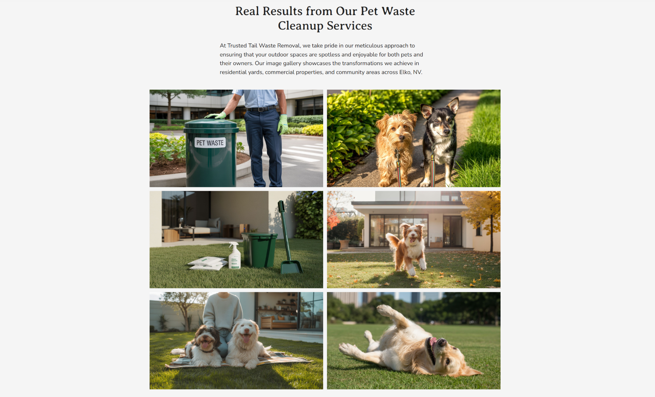 Trusted Tail Waste Removal gallery section featuring before-and-after style images of dog waste cleanup, including a technician emptying a pet waste bin, dogs walking on clean paths, and yard cleanup tools displayed on freshly maintained grass