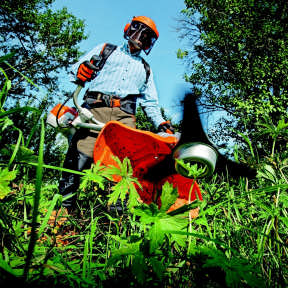 Understand what a gardener does.