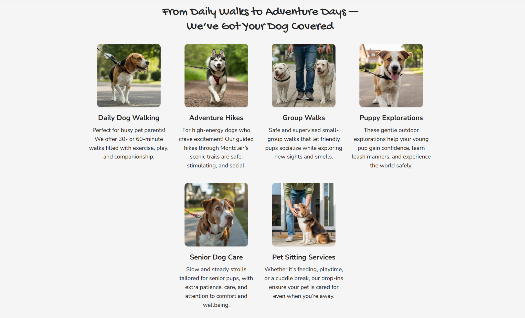 “From Daily Walks to Adventure Days — We’ve Got Your Dog Covered” section displaying six dog walking services, each with friendly photos and captions like Daily Dog Walking, Adventure Hikes, Group Walks, and Puppy Explorations