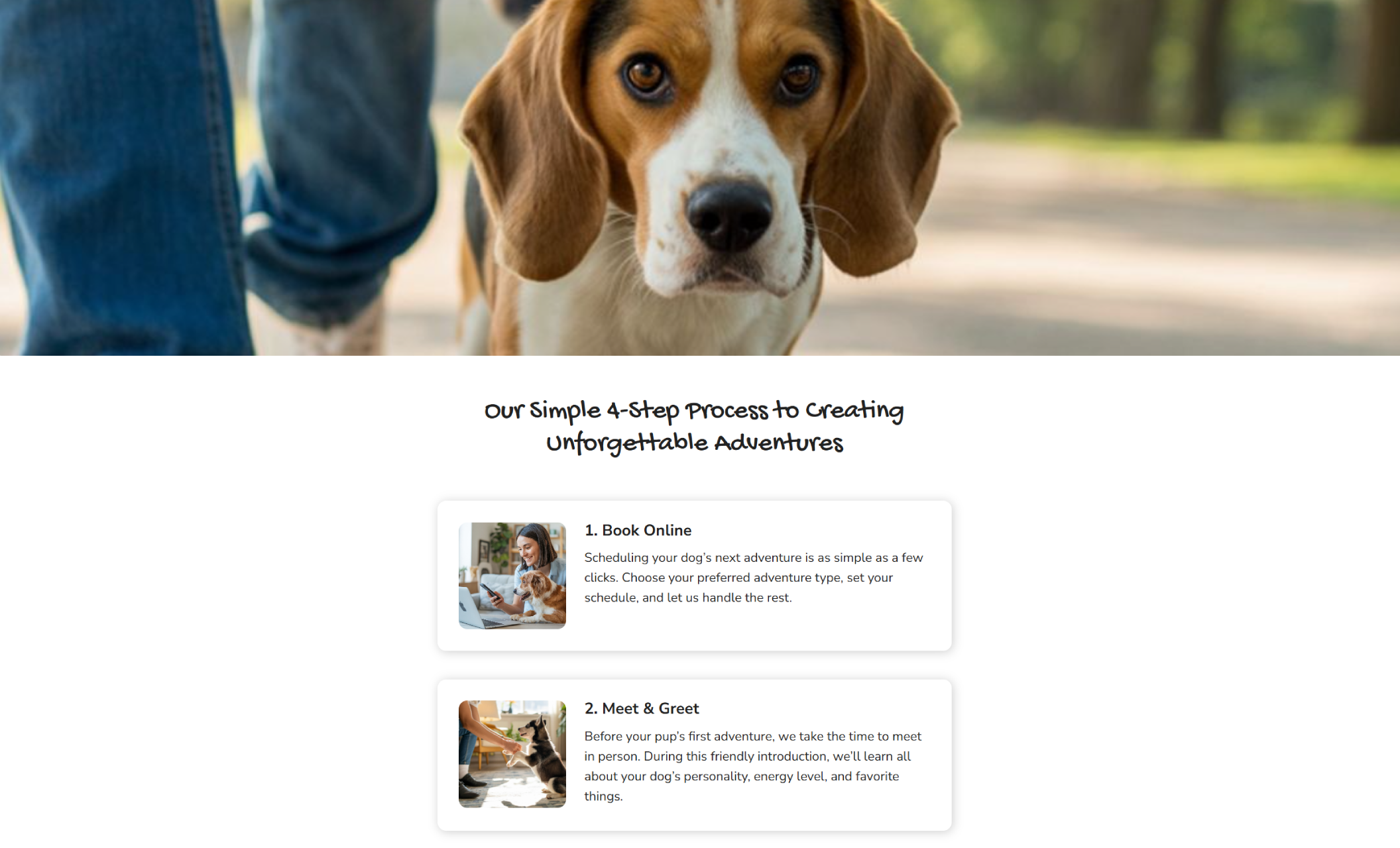 “Our Simple 4-Step Process to Creating Unforgettable Adventures” section featuring a close-up of a beagle’s face and two illustrated cards describing steps to book online and schedule a meet-and-greet