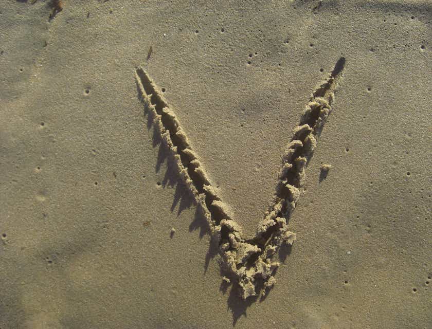La lettera "V" disegnata sulla sabbia in una spiaggia.