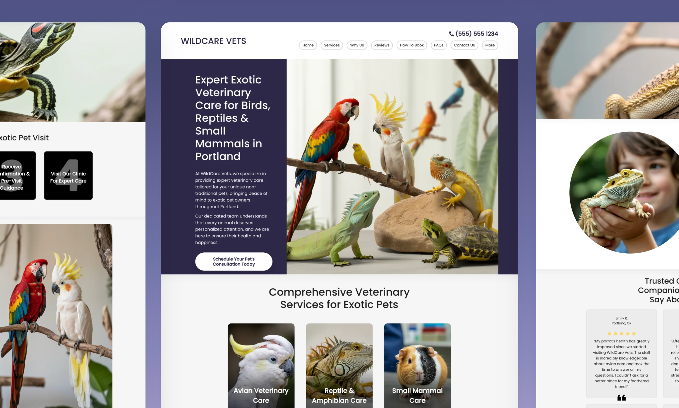 preview of  template