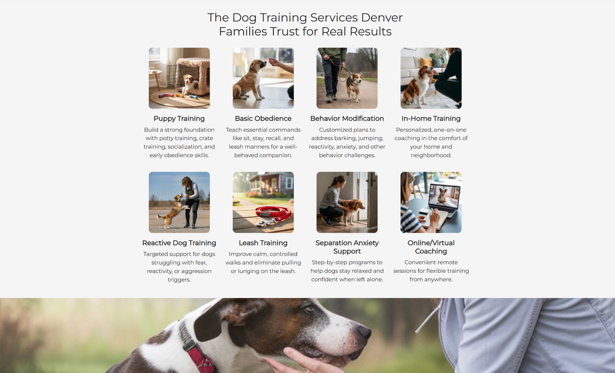 WagWise Training services section titled “The Dog Training Services Denver Families Trust for Real Results,” displaying icons and photos for puppy training, basic obedience, behavior modification, in-home training, leash training, and online coaching