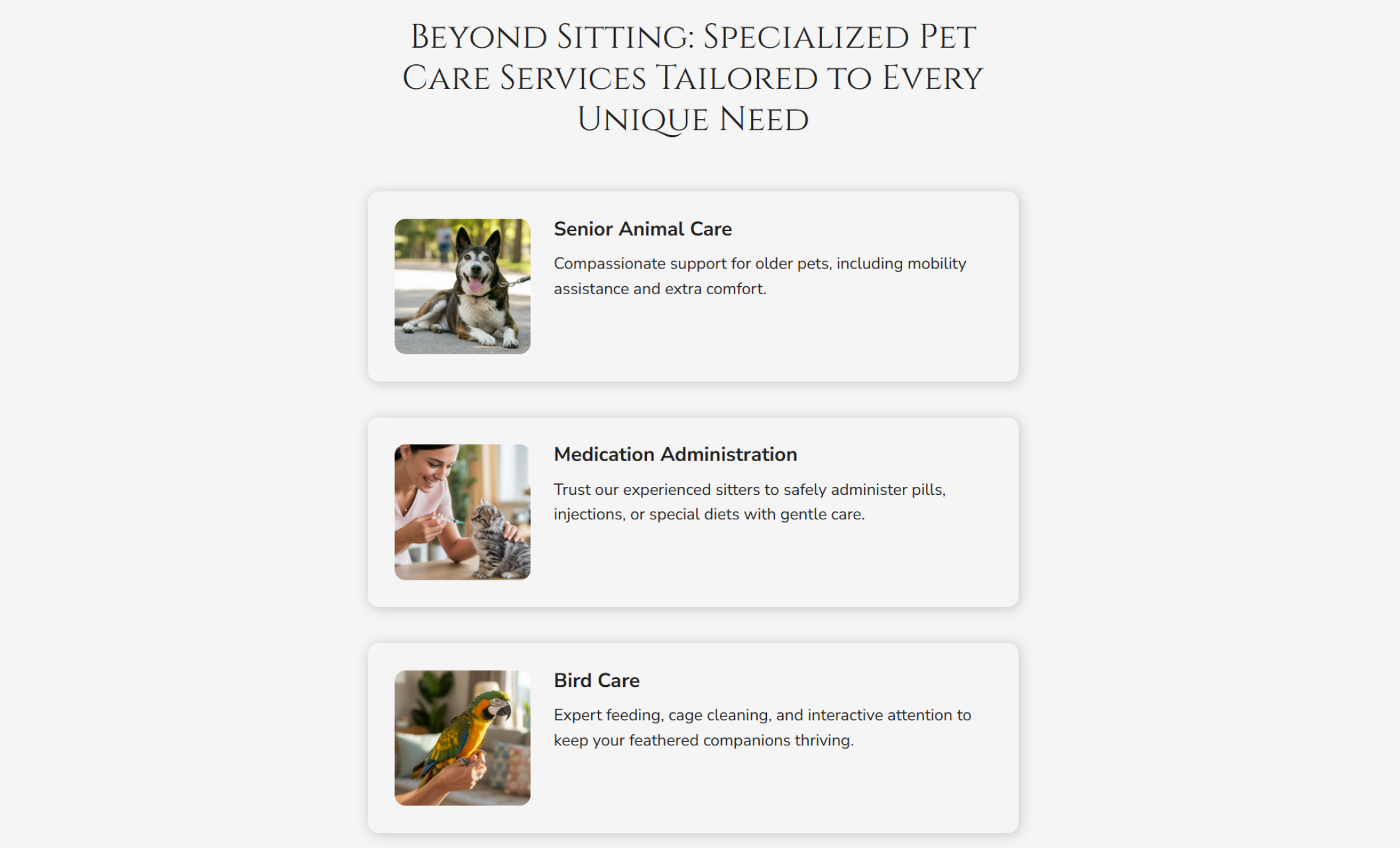 Whiskers Watch additional services section with three white cards for Senior Animal Care, Medication Administration, and Bird Care, each paired with a pet image