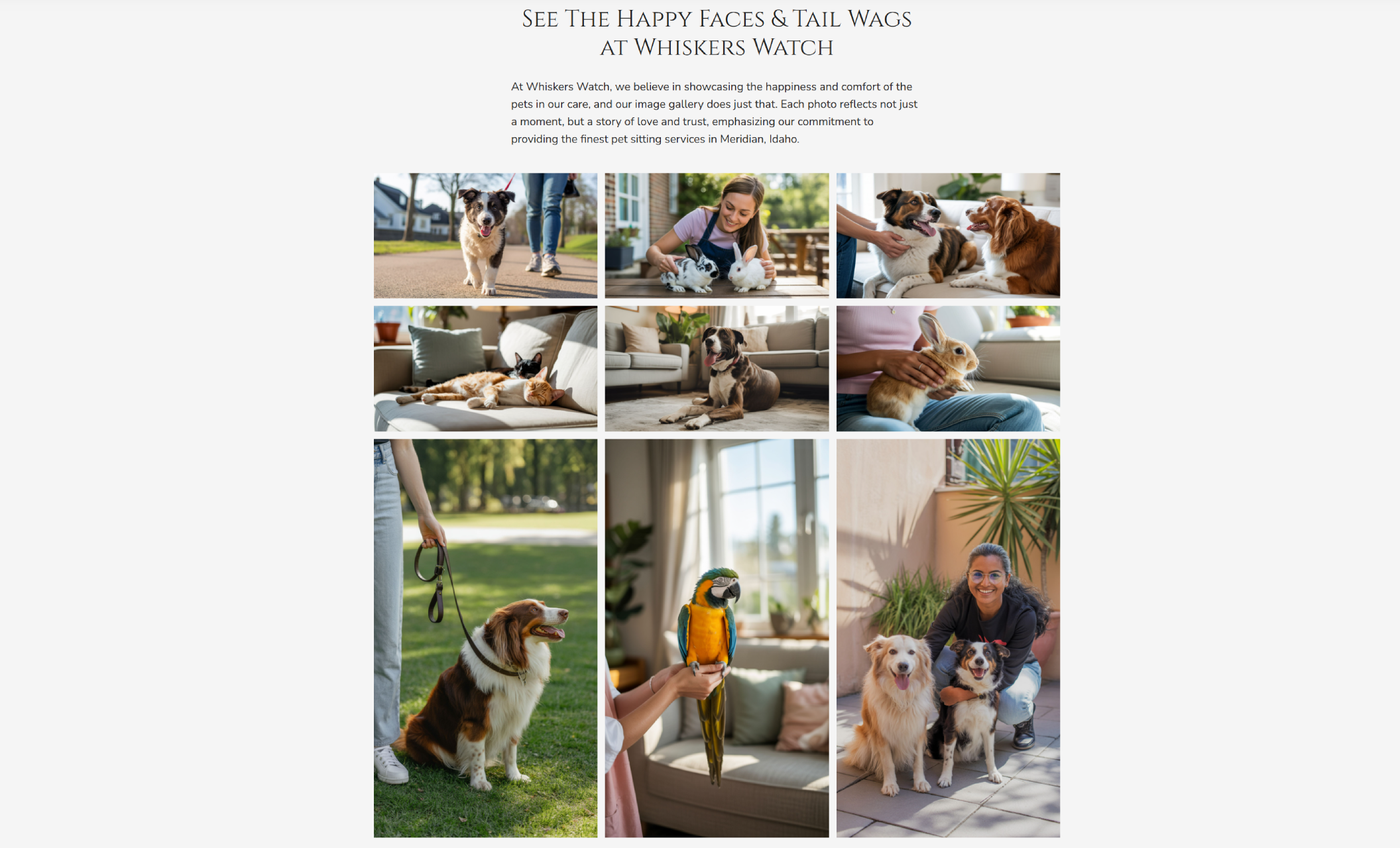 Whiskers Watch gallery section featuring a grid of pet photos including dogs, cats, rabbits, and a parrot alongside the headline “See The Happy Faces & Tail Wags at Whiskers Watch.”