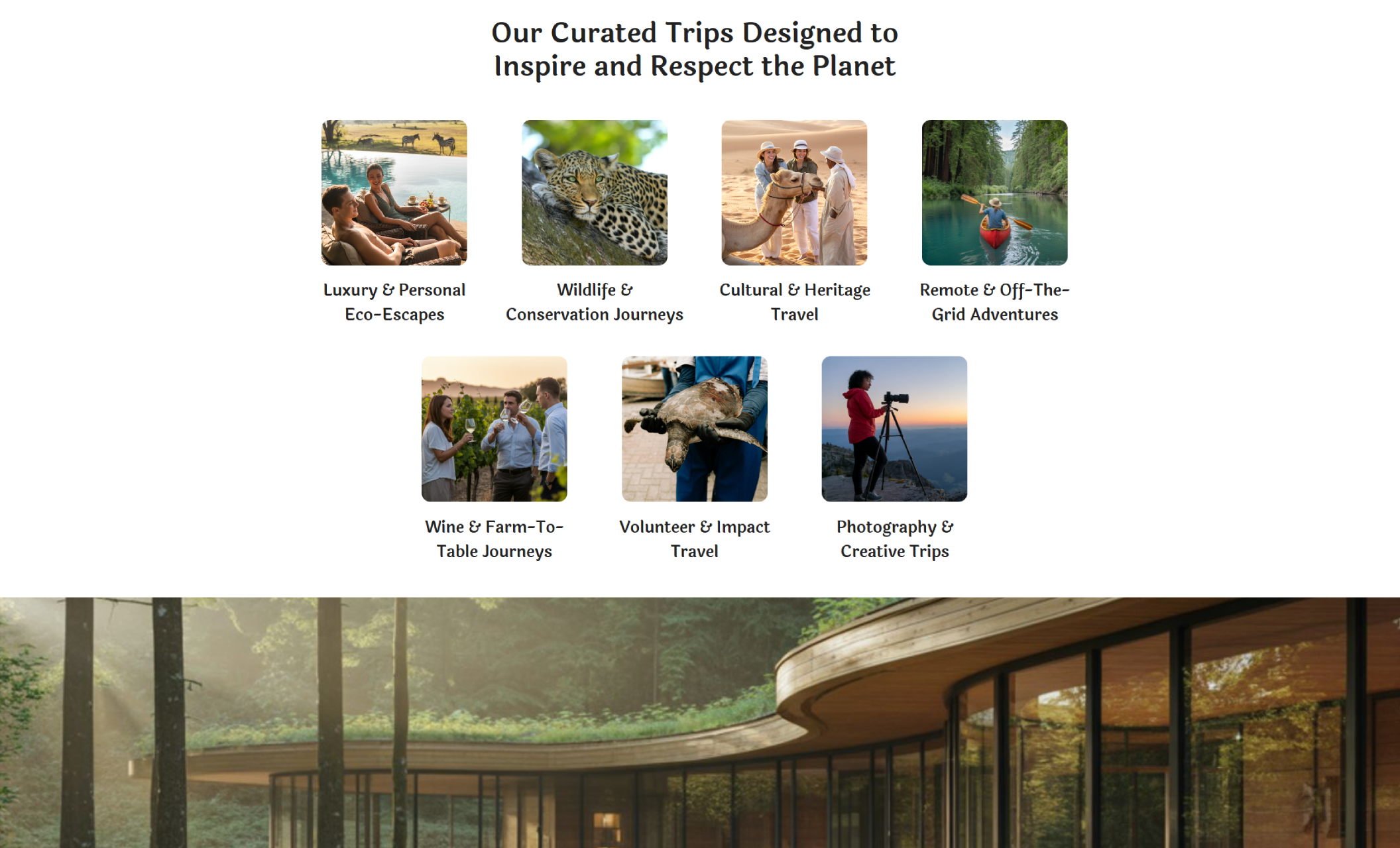 Wild Route Escapes services section displaying curated travel categories such as Luxury & Personal Eco-Escapes, Wildlife & Conservation Journeys, Cultural & Heritage Travel, and Remote Off-the-Grid Adventures, each represented with rounded destination images and descriptive labels