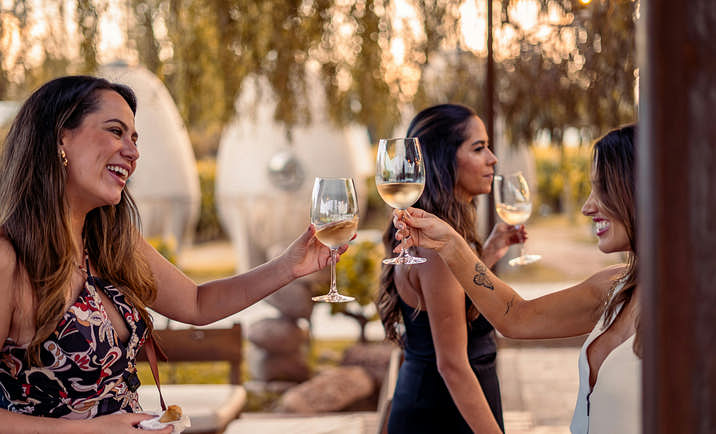Three wine drinkers enjoying a glass of white wine.