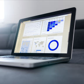 Offer an extensive market analysis.