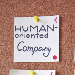 Write an executive summary.