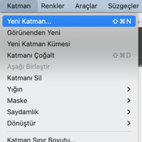 Yeni bir katman oluşturun.