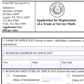 Apply for a trademark or patent.