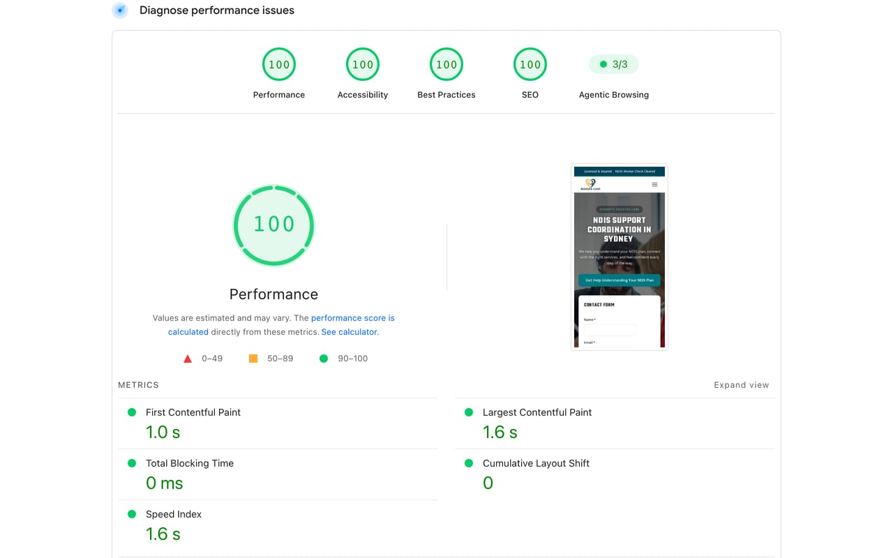 Google PageSpeed Insights report showing Performance 100, Accessibility 100, Best Practices 100 and SEO 100, with a phone preview of the measured site