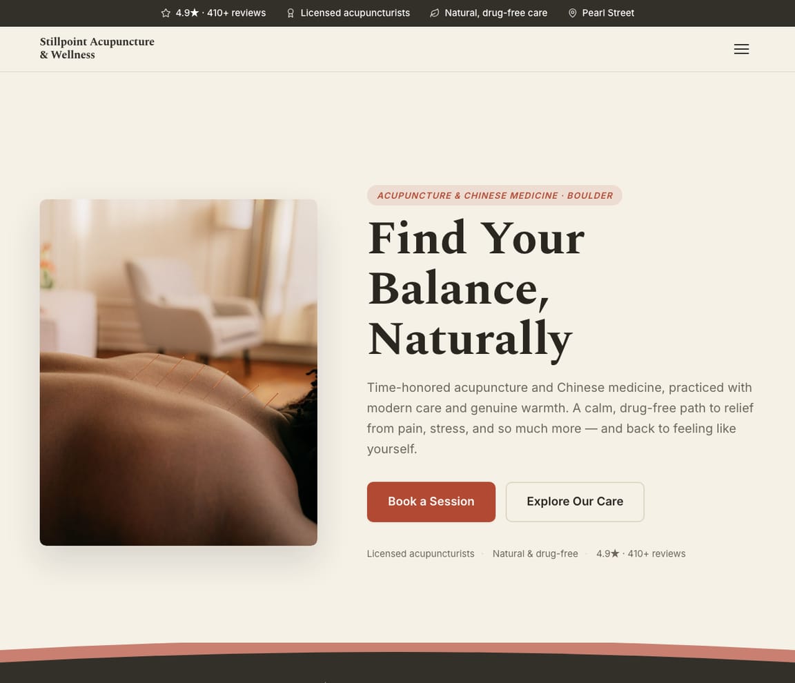 Acupuncture Clinic website template preview