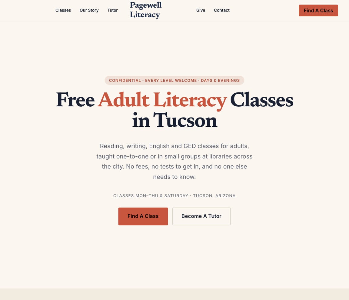 Adult Literacy website template preview