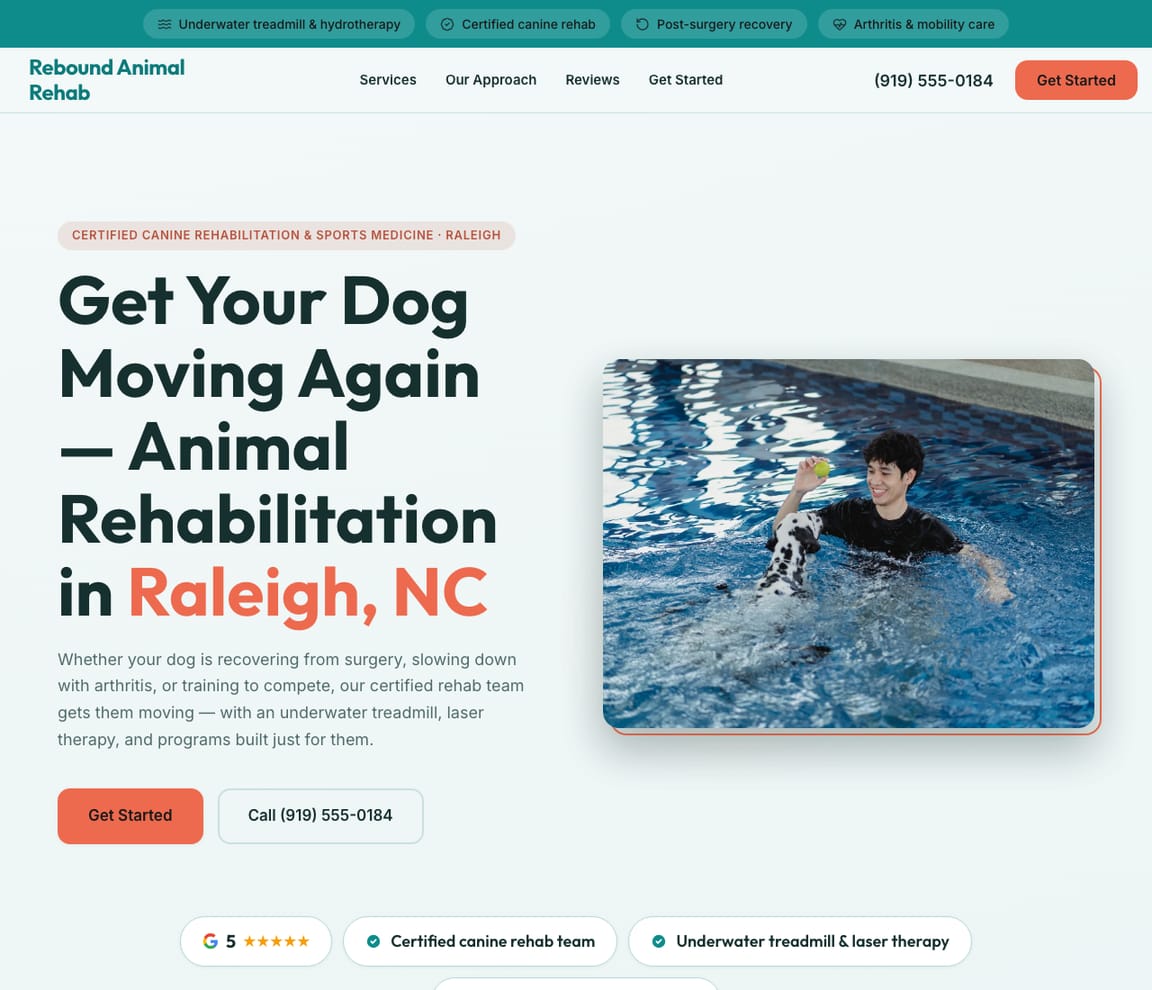 Animal Rehabilitation & Sports Medicine website template preview