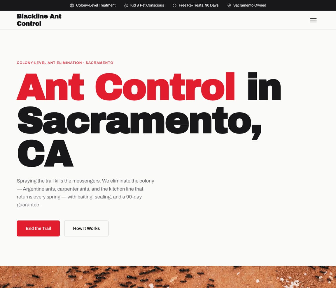 Ant Control Specialists website template preview