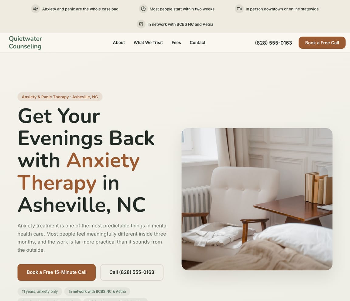 Anxiety & Panic Therapy website template preview