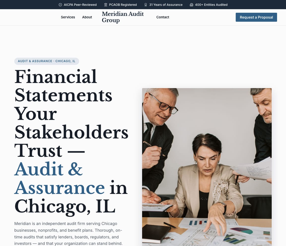 Audit & Assurance website template preview