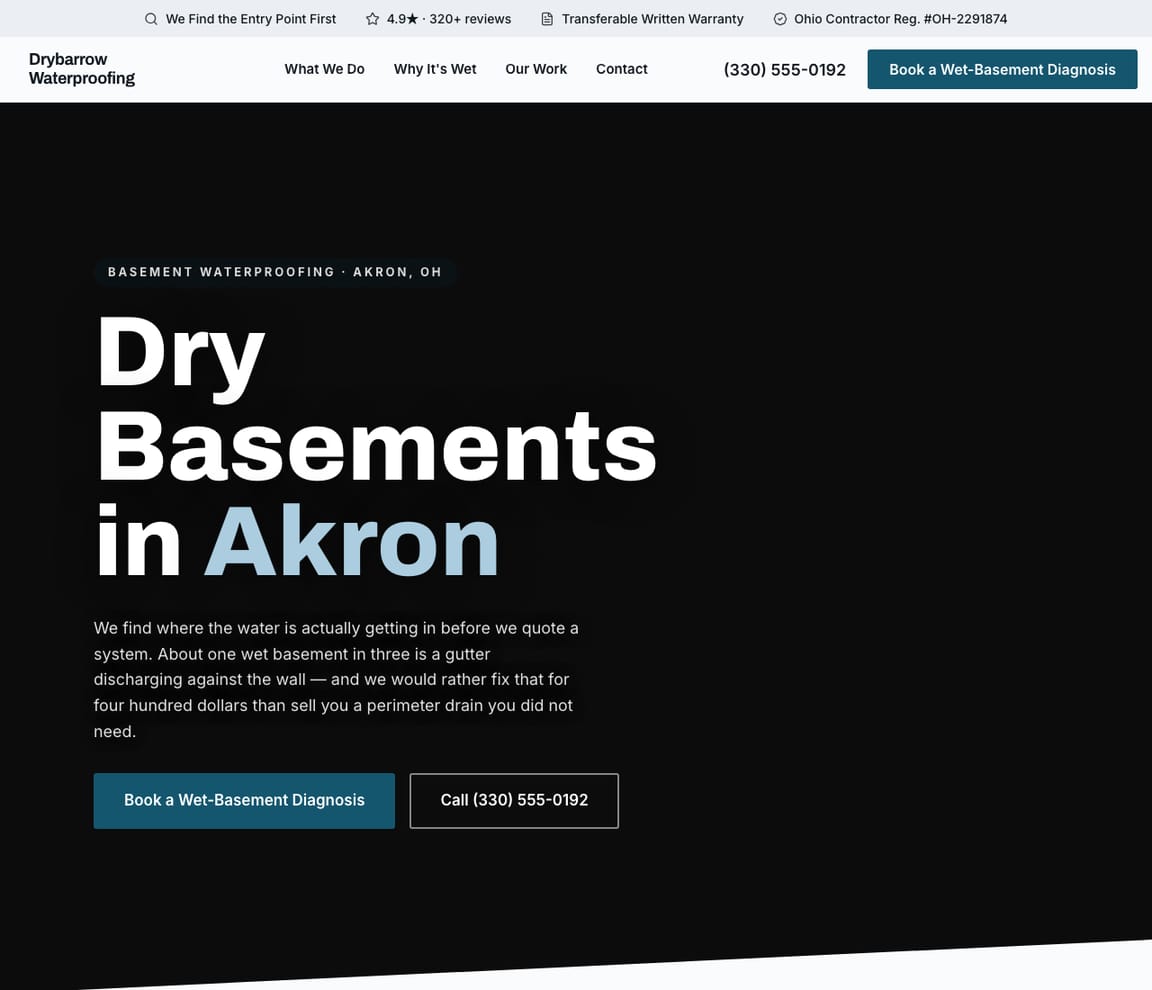 Basement Waterproofing website template preview