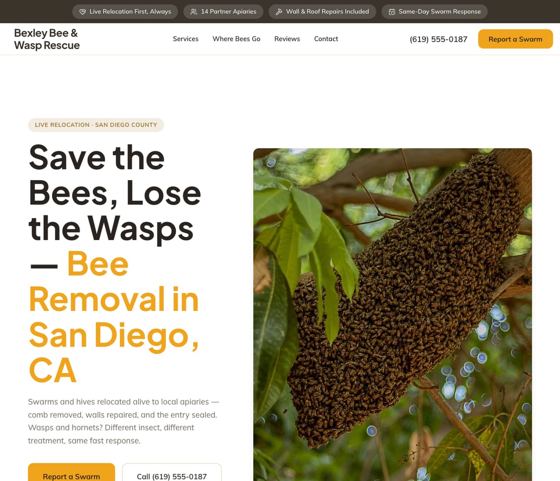 Bee & Wasp Rescue website template preview